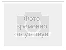 Флорибунда